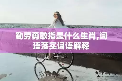 勤劳勇敢指是什么生肖,词语落实词语解释 勤劳勇敢指是什么生肖,词语落实词语解释