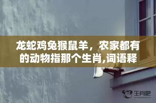 龙蛇鸡兔猴鼠羊，农家都有的动物指那个生肖,词语释义解释落实