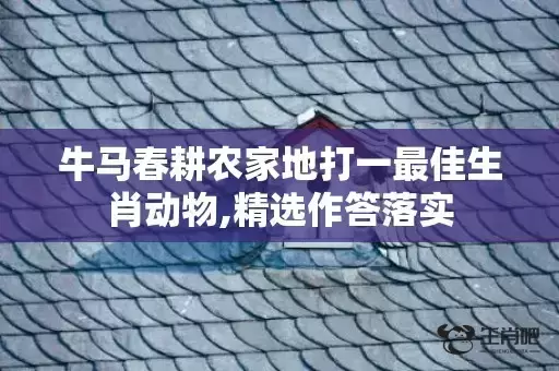 牛马春耕农家地打一最佳生肖动物,精选作答落实 牛马春耕农家地打一最佳生肖动物,精选作答落实