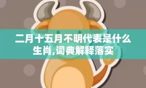 二月十五月不明代表是什么生肖,词典解释落实