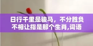 日行千里是骏马，不分胜负不相让指是那个生肖,词语释义解释落实