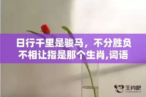 日行千里是骏马，不分胜负不相让指是那个生肖,词语释义解释落实