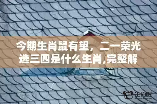 今期生肖鼠有望,二一荣光选三四是什么生肖,完整解释落实 今期生肖鼠有望,二一荣光选三四是什么生肖,完整解释落实