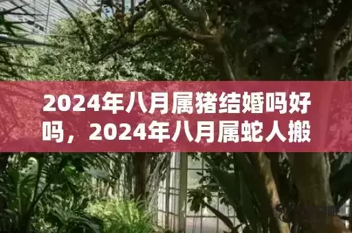 2024年八月属猪结婚吗好吗，2024年八月属蛇人搬家吉日有哪些