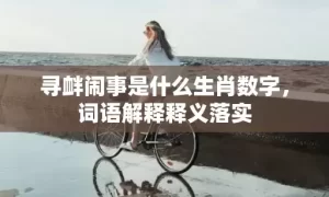 寻衅闹事是什么生肖数字，词语解释释义落实