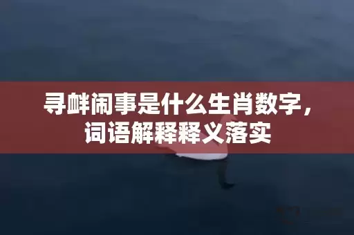 寻衅闹事是什么生肖数字，词语解释释义落实