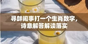 寻衅闹事打一个生肖数字，诗意解答解读落实