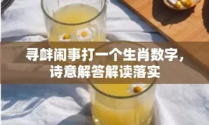 寻衅闹事打一个生肖数字，诗意解答解读落实