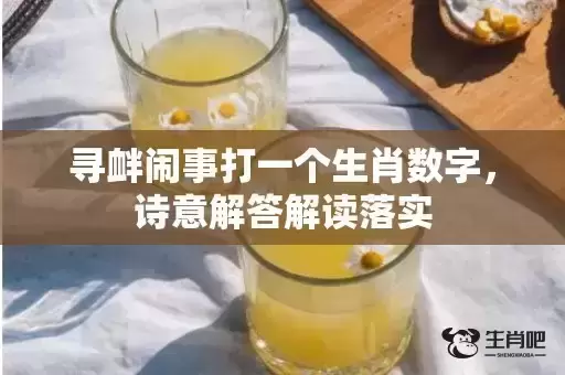 寻衅闹事打一个生肖数字，诗意解答解读落实