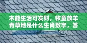 木能生活可发财，牧童放羊青草地是什么生肖数字，答案精选落实