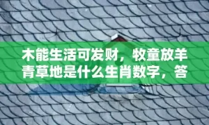 木能生活可发财，牧童放羊青草地是什么生肖数字，答案精选落实