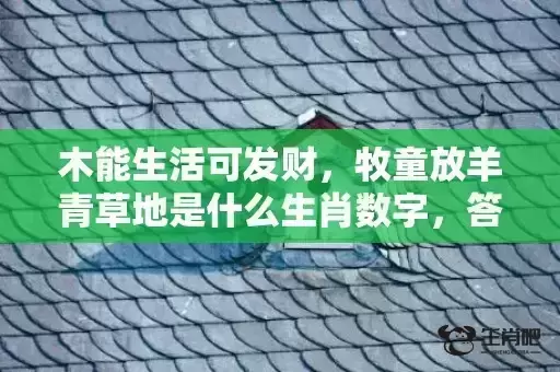 木能生活可发财，牧童放羊青草地是什么生肖数字，答案精选落实