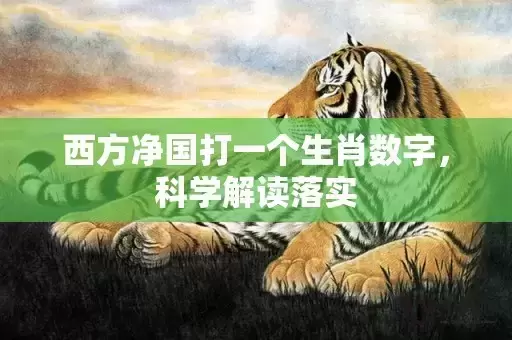 西方净国打一个生肖数字，科学解读落实
