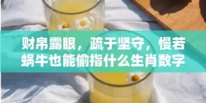 财帛露眼，疏于坚守，慢若蜗牛也能偷指什么生肖数字完美解释落实