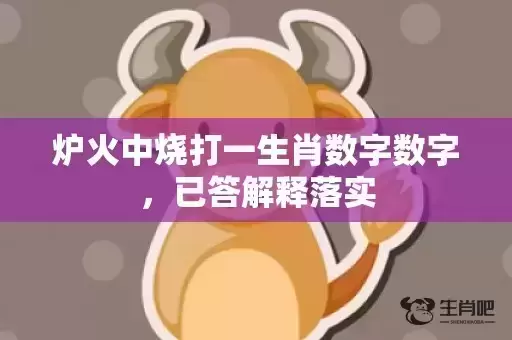 炉火中烧打一生肖数字数字，已答解释落实