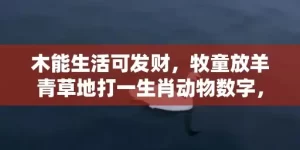 木能生活可发财，牧童放羊青草地打一生肖动物数字，最新全面解释落实