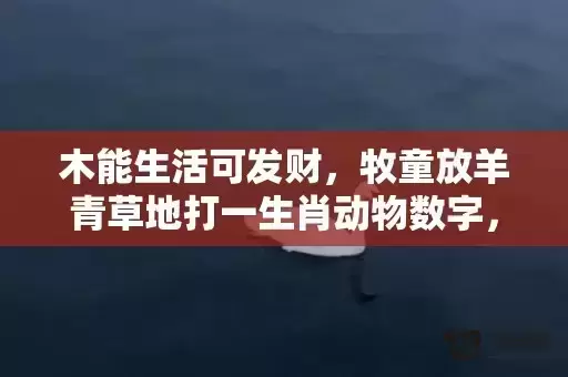 木能生活可发财，牧童放羊青草地打一生肖动物数字，最新全面解释落实