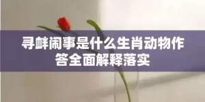 寻衅闹事是什么生肖动物作答全面解释落实