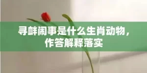 寻衅闹事是什么生肖动物，作答解释落实