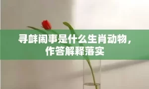 寻衅闹事是什么生肖动物，作答解释落实