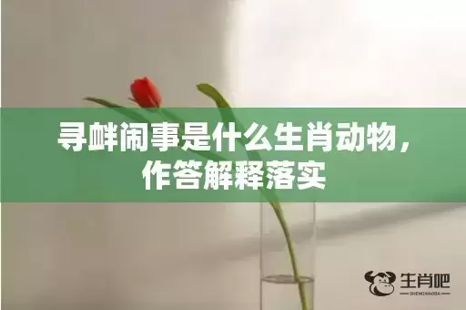 寻衅闹事是什么生肖动物,作答解释落实 寻衅闹事是什么生肖动物,作答解释落实