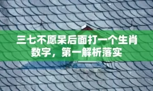 三七不愿呆后面打一个生肖数字，第一解析落实