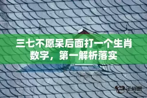 三七不愿呆后面打一个生肖数字，第一解析落实