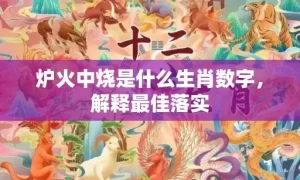 炉火中烧是什么生肖数字，解释最佳落实