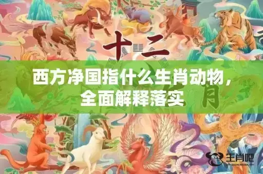 西方净国指什么生肖动物，全面解释落实