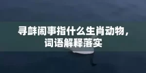 寻衅闹事指什么生肖动物，词语解释落实