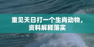 重见天日打一个生肖动物，资料解释落实