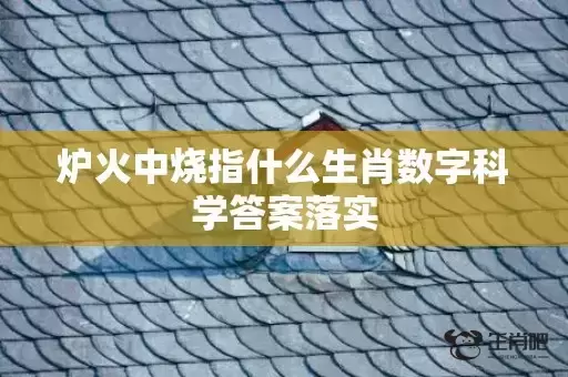 炉火中烧指什么生肖数字科学答案落实 炉火中烧指什么生肖数字科学答案落实