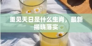 重见天日是什么生肖，最新揭晓落实