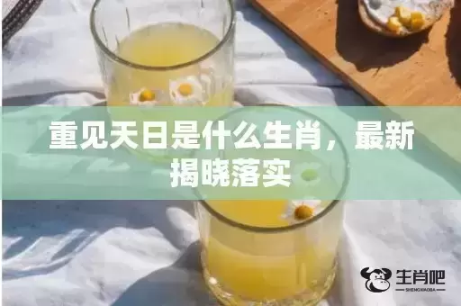 重见天日是什么生肖，最新揭晓落实