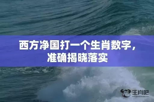 西方净国打一个生肖数字,准确揭晓落实 西方净国打一个生肖数字,准确揭晓落实