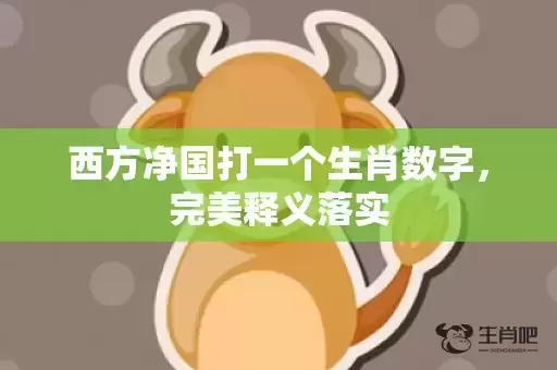 西方净国打一个生肖数字，完美释义落实
