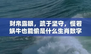 财帛露眼，疏于坚守，慢若蜗牛也能偷是什么生肖数字，最新揭晓解释落实