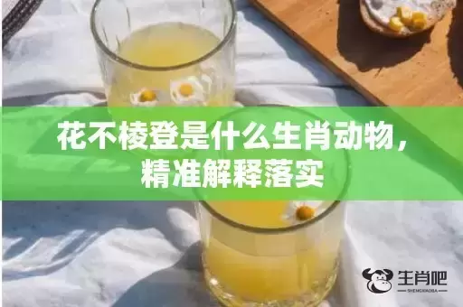 花不棱登是什么生肖动物，精准解释落实