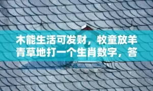 木能生活可发财，牧童放羊青草地打一个生肖数字，答案解释释义落实