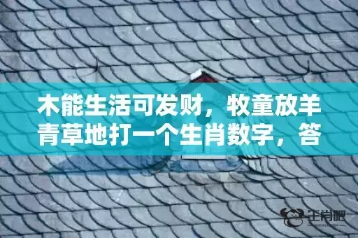 木能生活可发财，牧童放羊青草地打一个生肖数字，答案解释释义落实