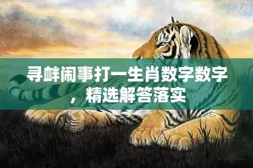 寻衅闹事打一生肖数字数字，精选解答落实