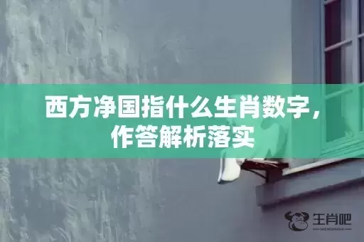 西方净国指什么生肖数字，作答解析落实