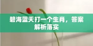 碧海蓝天打一个生肖，答案解析落实