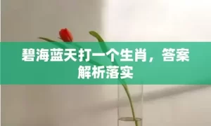 碧海蓝天打一个生肖，答案解析落实