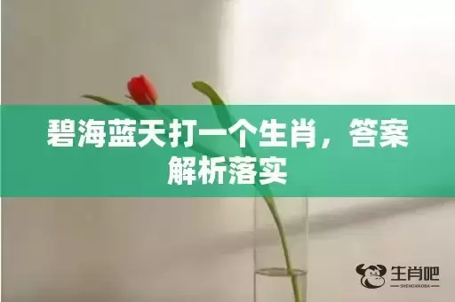 碧海蓝天打一个生肖，答案解析落实