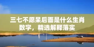 三七不愿呆后面是什么生肖数字，精选解释落实