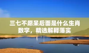 三七不愿呆后面是什么生肖数字，精选解释落实