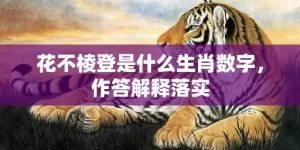 花不棱登是什么生肖数字，作答解释落实