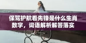 保驾护航看先锋是什么生肖数字，词语解析解答落实