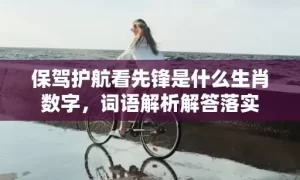 保驾护航看先锋是什么生肖数字，词语解析解答落实